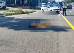 Водитель, насмерть сбивший женщину на пешеходном переходе, получил условный срок
