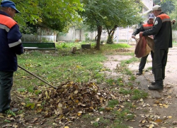 В Кишиневе стартует осенняя кампания по уборке листьев 