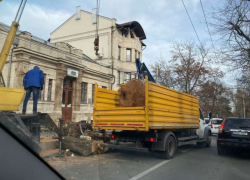 В Кишиневе уничтожен памятник природы