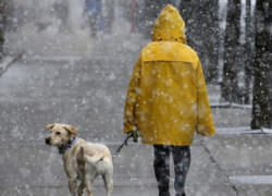 В понедельник в Молдове ожидаются осадки в виде мокрого снега 