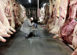 В Кагуле идет война между перекупщиками мяса и проверяющими органами