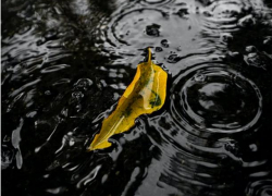 Суббота в Молдове будет теплой, но дождливой  