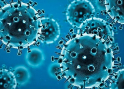 За вторник прибавилось 204 новых случая COVID-19: данные по Молдове