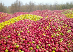 Картина, достойная пера художника, если бы не было столь  печально
