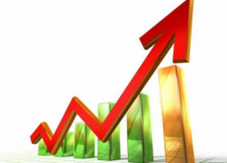 Годовая инфляция в июле достигла 33,55 процента