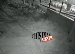 Видеокамера запечатлела возмутительный инцидент на Ботанике - подросток намеренно растоптал высаженные людьми декоративные ели