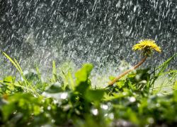 В субботу в Молдове будет тепло и ветрено, возможна гроза 
