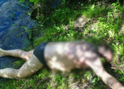 Тело утонувшего мужчины обнаружили на берегу пруда в Оргеевском районе