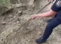 18-летний убил бабушку и попытался закопать живьем пожилого человека