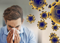 В Молдове выявлено 1588 новых случаев COVID-19: число заболевших с начала пандемии превысило 300 тысяч человек  