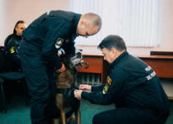 Пса – "грозу" контрабандистов, наградили Крестом «За преданность»