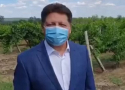  "Что делал слон, когда пришел Наполеон?". Неожиданное фото Гацкана