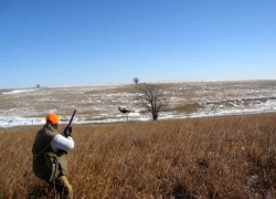 Экологические инспекторы вышли на охоту и… собрали крупные штрафы