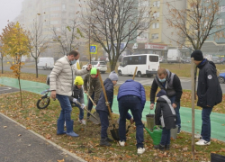 Несколько сотен деревьев было высажено в Кишиневе, на Чеканах