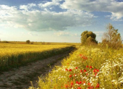 Суббота в Молдове будет жаркой 