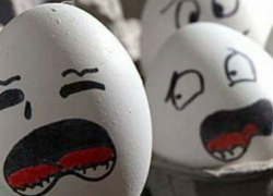 В столичном детсаде обнаружены тухлые яйца с июля