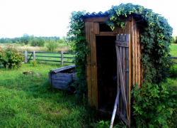Мальчик захлебнулся в туалете во дворе собственного дома в Сынжерейском районе