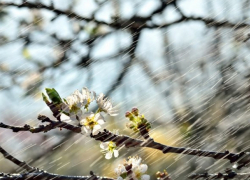 В субботу в Молдове сильно похолодает – объявлен желтый код метеоопасности 