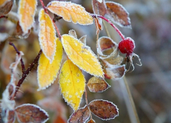 А вот и заморозки: погода в Молдове в субботу 