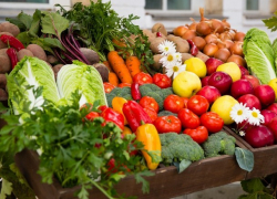Список экспортеров молдавской продукции на российский рынок будет расширен