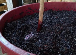 Опасность при приготовлении домашнего вина: IGSU предупреждает о риске отравления CO₂