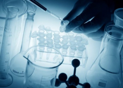 В Молдове подтвердили первый случай оспы обезьян – у иностранца, прибывшего из США 