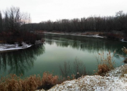 «Приплыла к нему рыбка…» (Чем угощали Пушкина на реке Прут в 1821 году)