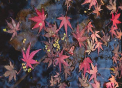 Суббота еще будет теплой, а в воскресенье в Молдове похолодает