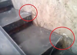 В подземном переходе на Буюканах образовался "родник"