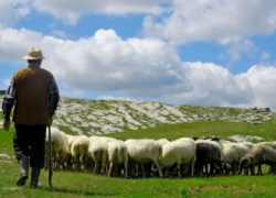 На севере РМ мужчина завел двух рабов