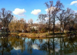 В озере городского парка Тараклии обнаружена опасная инфекция