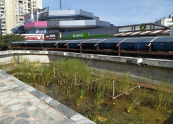 На одном из главных проспектов Кишинева фонтан зарастает камышом