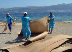 Корабль под флагом Молдовы испортил турецкий пляж и был наказан