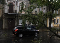 Чудовищные последствия стихии в Кишиневе: две сотни поваленных деревьев, эвакуированные машины, оборванные провода 