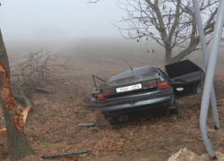 Автомобиль врезался в дерево в Каушанском районе: два человека погибли 