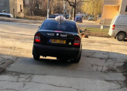 В Кишиневе таксист намеренно задавил кошку на глазах шокированной пассажирки