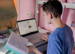 Половые органы появились на экранах учеников во время онлайн-уроков