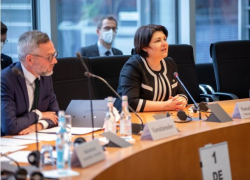 Гаврилица попросила у Бундестага гранты