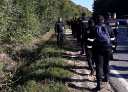 Бешеный кабан погиб в ДТП под Резиной
