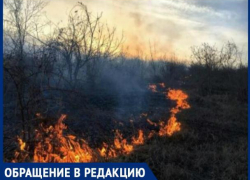 В Тараклийском районе горит растительность