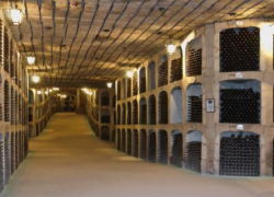 Речан приехал в Яловены на винный завод Милештий Мичь, не сообщив об этом примару от другой партии