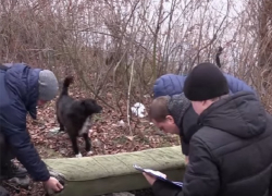 Тройное убийство: украинец зарубил топором обидчиков и зарезал мать преступника