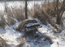 Малолетний браконьер устанавливал на границе ловушки для птиц