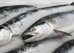 В молдавских супермаркетах нагло обманывают людей, запредельно пичкая рыбу льдом