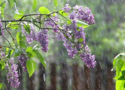 В среду в Молдове будет пасмурно