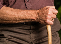 Два года проведет в тюрьме молдаванин, укусивший за руку белгородского полицейского 