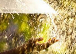 Последний день мая будет теплым и солнечным 