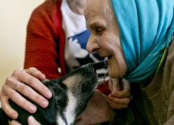 Внук на глазах пенсионеров до смерти забил их любимую собаку в Тирасполе