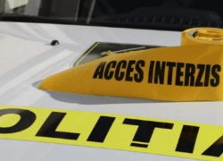 Убийство в Теленештах: пропавшего мужчину нашли мертвым в поле