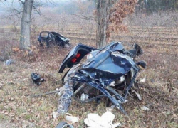 В Окницком районе погиб 41-летний мужчина - BMW после удара от дерева превратилась в несколько обломков металла